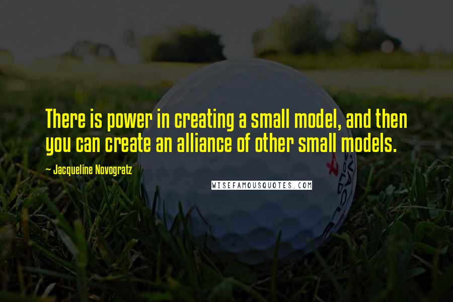 Jacqueline Novogratz Quotes: There is power in creating a small model, and then you can create an alliance of other small models.