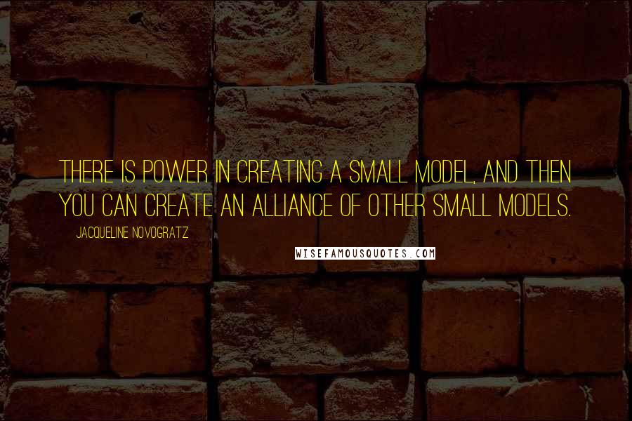 Jacqueline Novogratz Quotes: There is power in creating a small model, and then you can create an alliance of other small models.