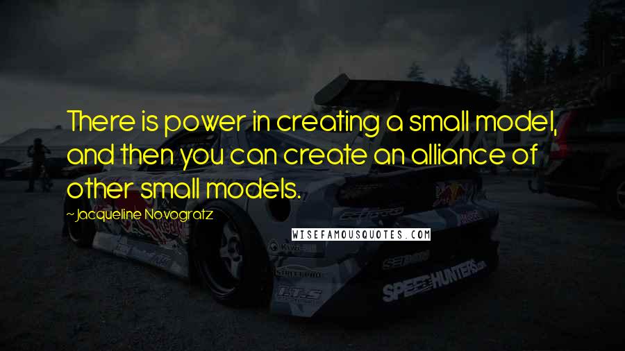 Jacqueline Novogratz Quotes: There is power in creating a small model, and then you can create an alliance of other small models.