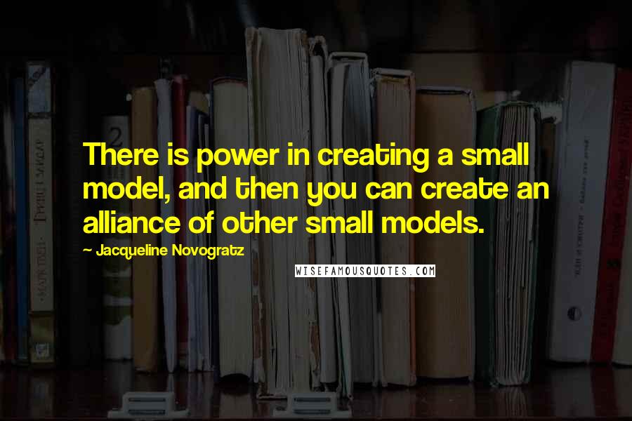 Jacqueline Novogratz Quotes: There is power in creating a small model, and then you can create an alliance of other small models.