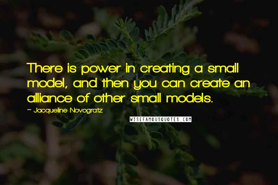 Jacqueline Novogratz Quotes: There is power in creating a small model, and then you can create an alliance of other small models.