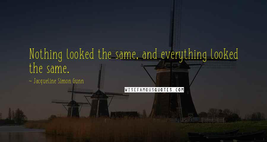 Jacqueline Simon Gunn Quotes: Nothing looked the same, and everything looked the same.