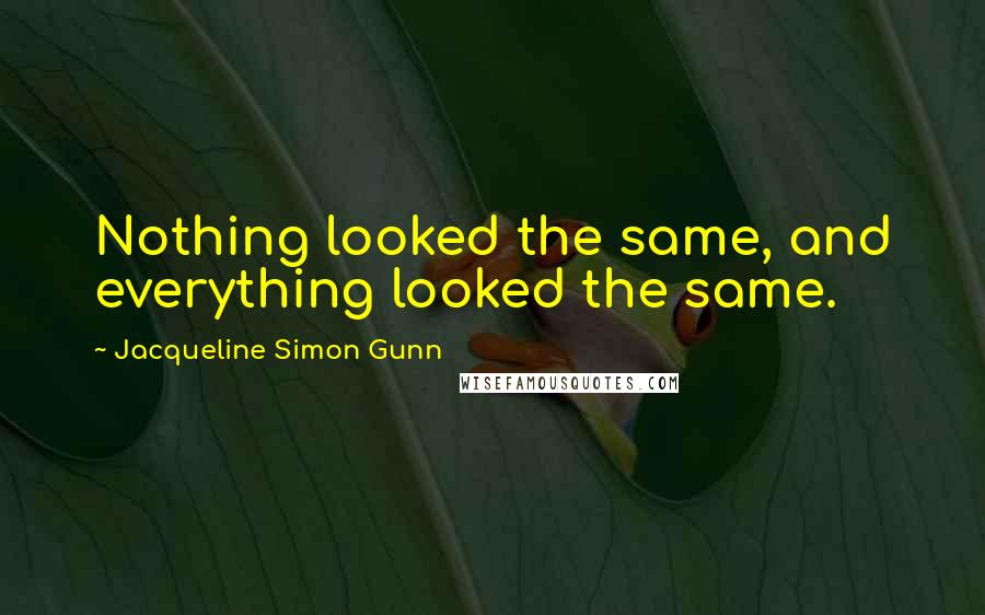 Jacqueline Simon Gunn Quotes: Nothing looked the same, and everything looked the same.