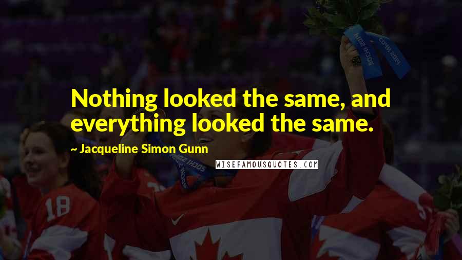 Jacqueline Simon Gunn Quotes: Nothing looked the same, and everything looked the same.