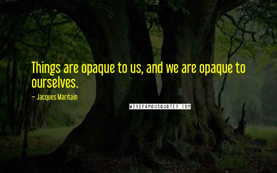 Jacques Maritain Quotes: Things are opaque to us, and we are opaque to ourselves.