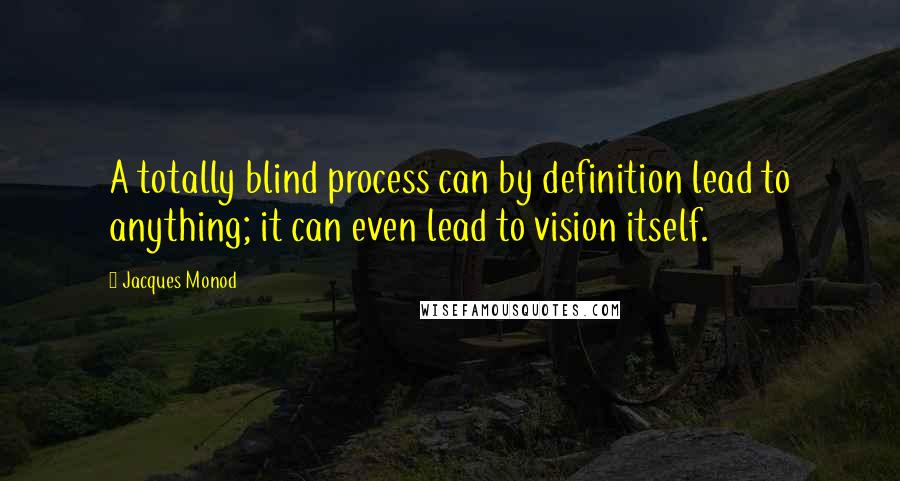 Jacques Monod Quotes: A totally blind process can by definition lead to anything; it can even lead to vision itself.