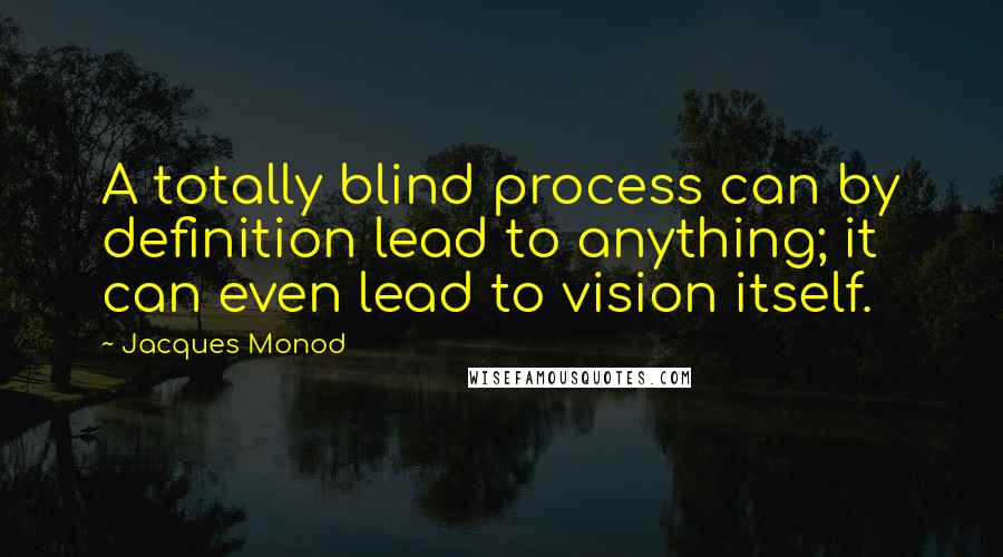 Jacques Monod Quotes: A totally blind process can by definition lead to anything; it can even lead to vision itself.