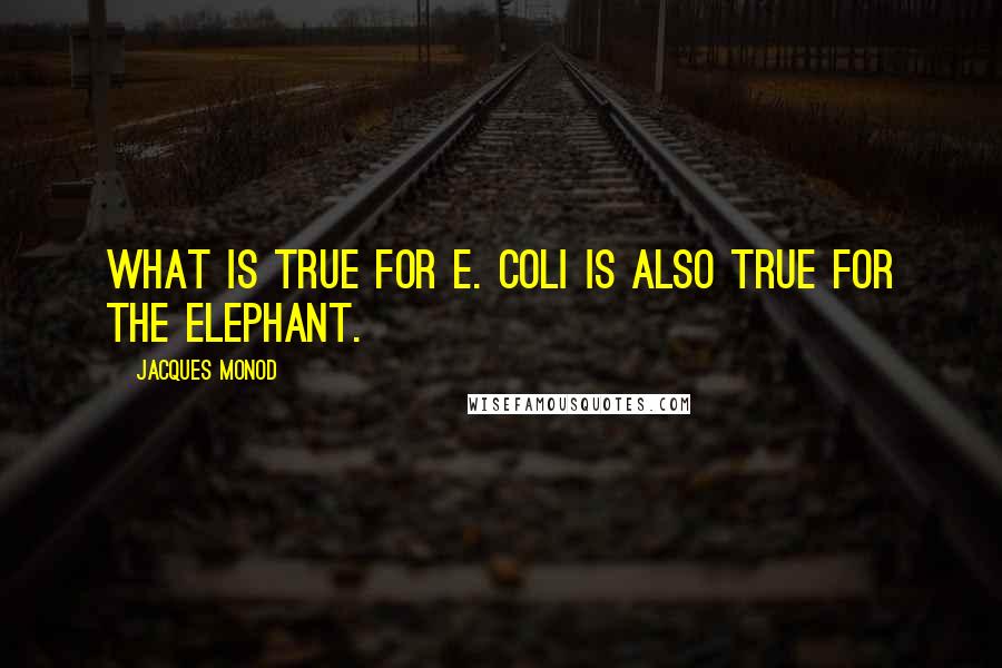 Jacques Monod Quotes: What is true for E. coli is also true for the elephant.