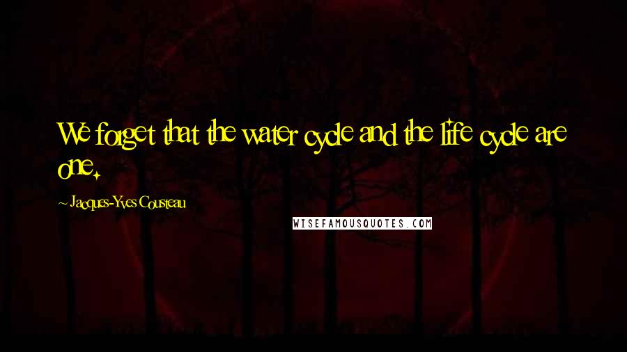 Jacques-Yves Cousteau Quotes: We forget that the water cycle and the life cycle are one.