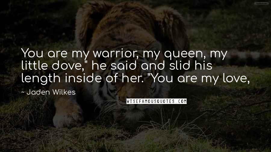 Jaden Wilkes Quotes: You are my warrior, my queen, my little dove," he said and slid his length inside of her. "You are my love,