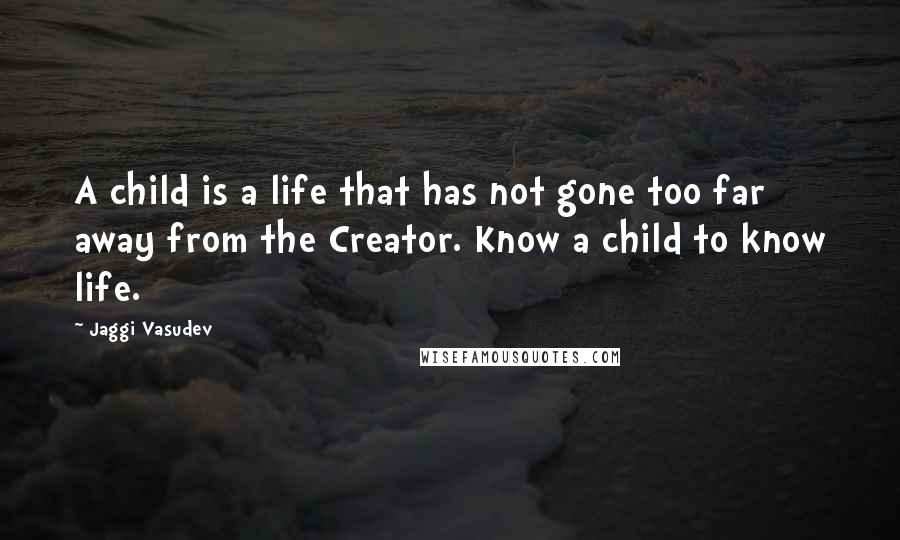 Jaggi Vasudev Quotes: A child is a life that has not gone too far away from the Creator. Know a child to know life.