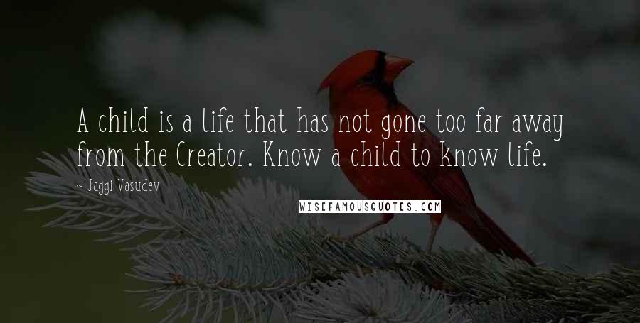 Jaggi Vasudev Quotes: A child is a life that has not gone too far away from the Creator. Know a child to know life.