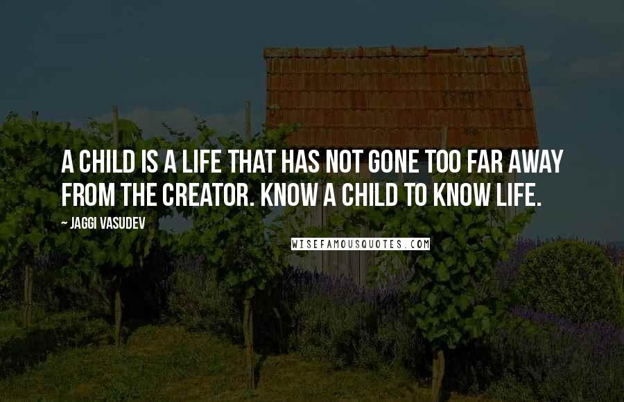 Jaggi Vasudev Quotes: A child is a life that has not gone too far away from the Creator. Know a child to know life.