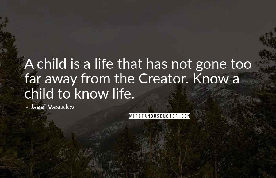 Jaggi Vasudev Quotes: A child is a life that has not gone too far away from the Creator. Know a child to know life.