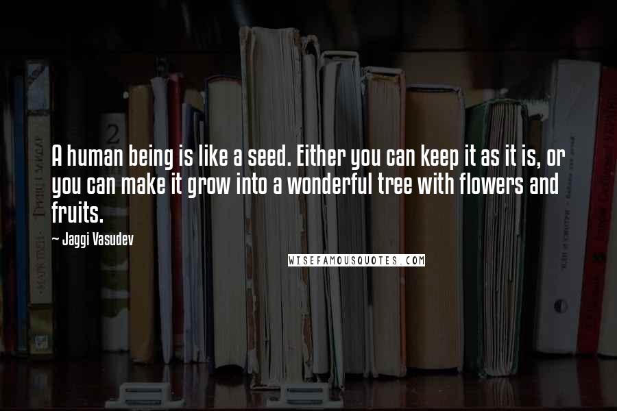 Jaggi Vasudev Quotes: A human being is like a seed. Either you can keep it as it is, or you can make it grow into a wonderful tree with flowers and fruits.