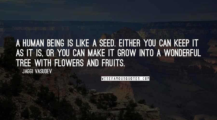 Jaggi Vasudev Quotes: A human being is like a seed. Either you can keep it as it is, or you can make it grow into a wonderful tree with flowers and fruits.