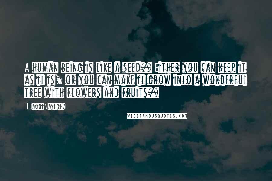 Jaggi Vasudev Quotes: A human being is like a seed. Either you can keep it as it is, or you can make it grow into a wonderful tree with flowers and fruits.