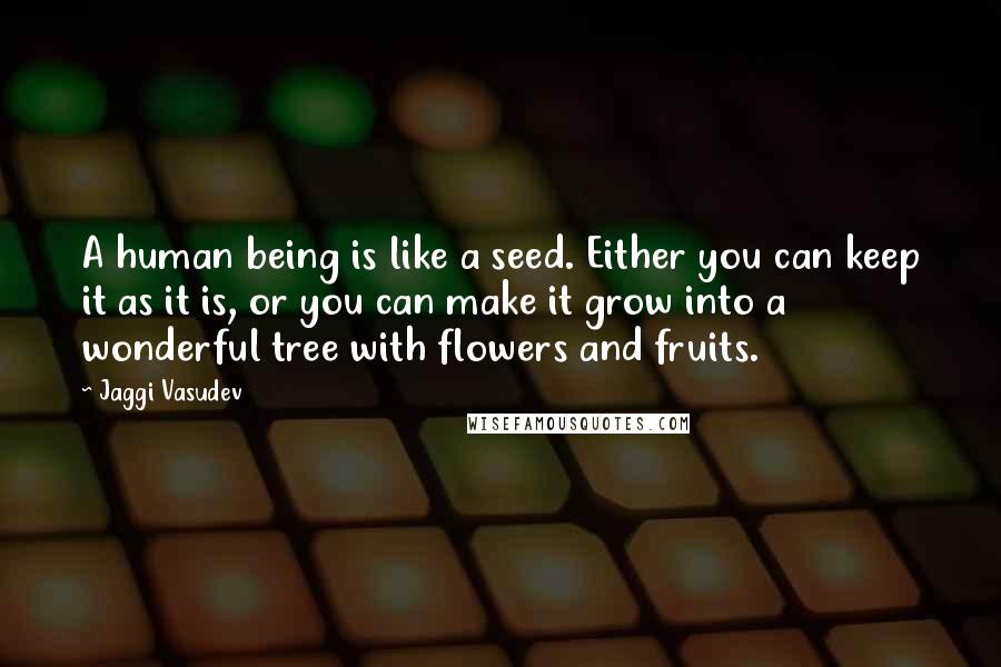 Jaggi Vasudev Quotes: A human being is like a seed. Either you can keep it as it is, or you can make it grow into a wonderful tree with flowers and fruits.