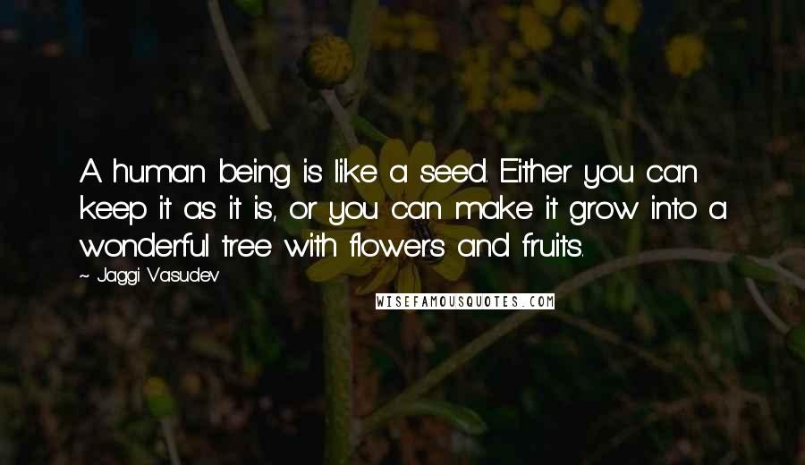 Jaggi Vasudev Quotes: A human being is like a seed. Either you can keep it as it is, or you can make it grow into a wonderful tree with flowers and fruits.