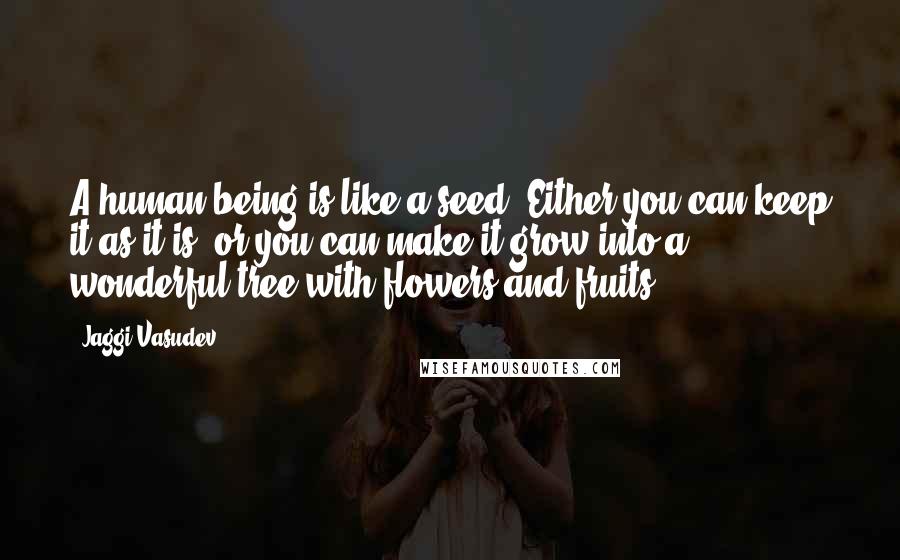 Jaggi Vasudev Quotes: A human being is like a seed. Either you can keep it as it is, or you can make it grow into a wonderful tree with flowers and fruits.