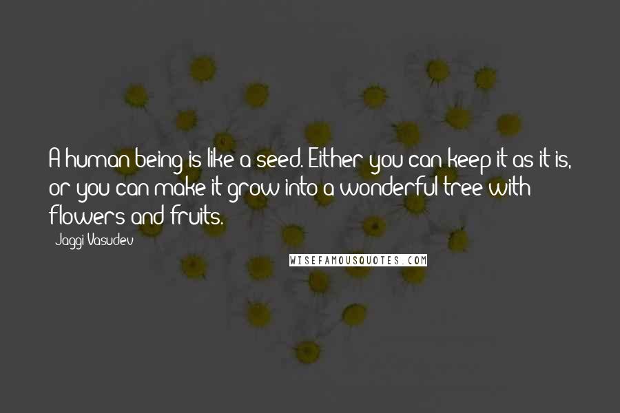 Jaggi Vasudev Quotes: A human being is like a seed. Either you can keep it as it is, or you can make it grow into a wonderful tree with flowers and fruits.