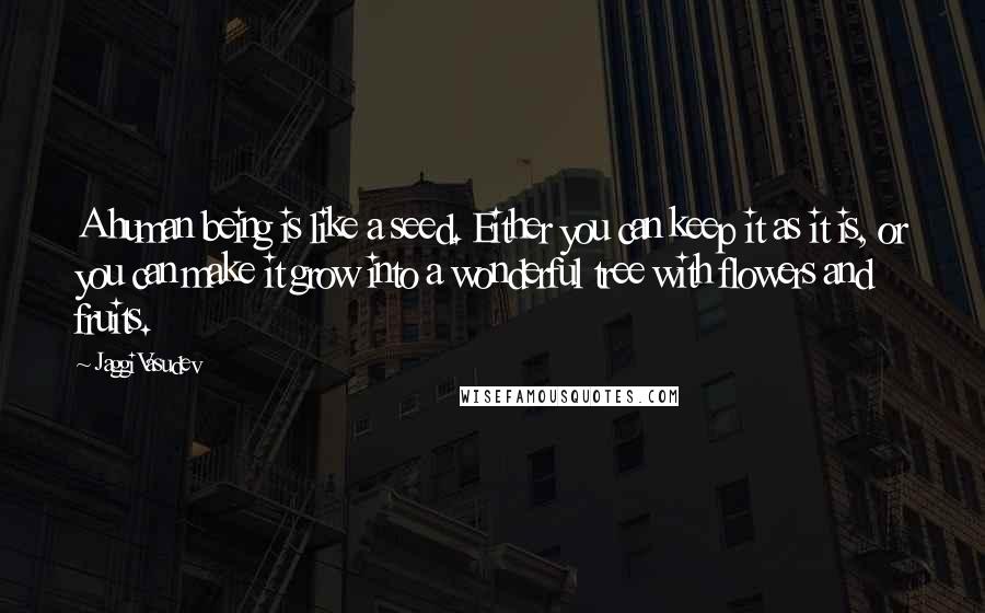 Jaggi Vasudev Quotes: A human being is like a seed. Either you can keep it as it is, or you can make it grow into a wonderful tree with flowers and fruits.