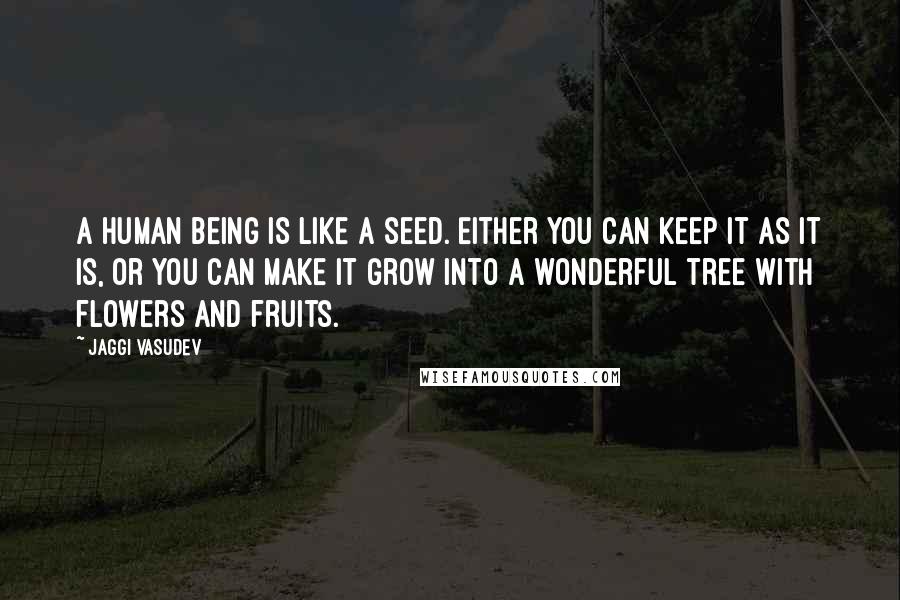 Jaggi Vasudev Quotes: A human being is like a seed. Either you can keep it as it is, or you can make it grow into a wonderful tree with flowers and fruits.