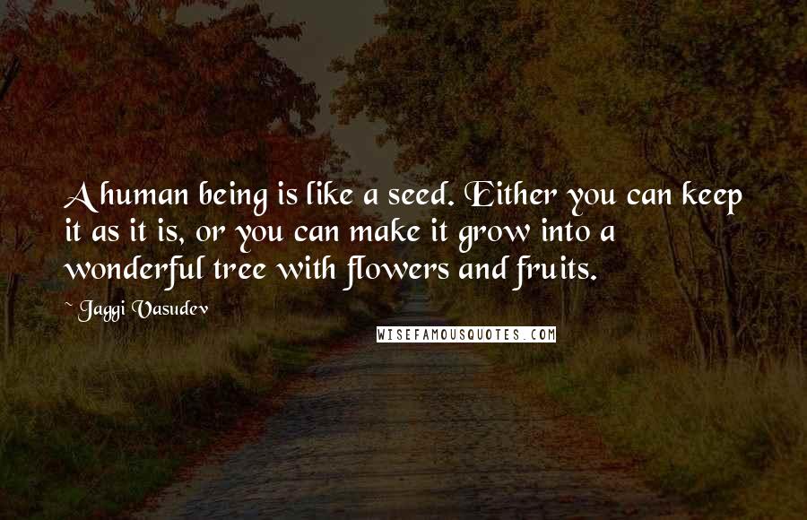 Jaggi Vasudev Quotes: A human being is like a seed. Either you can keep it as it is, or you can make it grow into a wonderful tree with flowers and fruits.