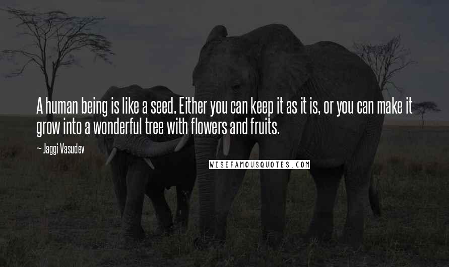 Jaggi Vasudev Quotes: A human being is like a seed. Either you can keep it as it is, or you can make it grow into a wonderful tree with flowers and fruits.