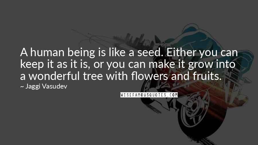 Jaggi Vasudev Quotes: A human being is like a seed. Either you can keep it as it is, or you can make it grow into a wonderful tree with flowers and fruits.