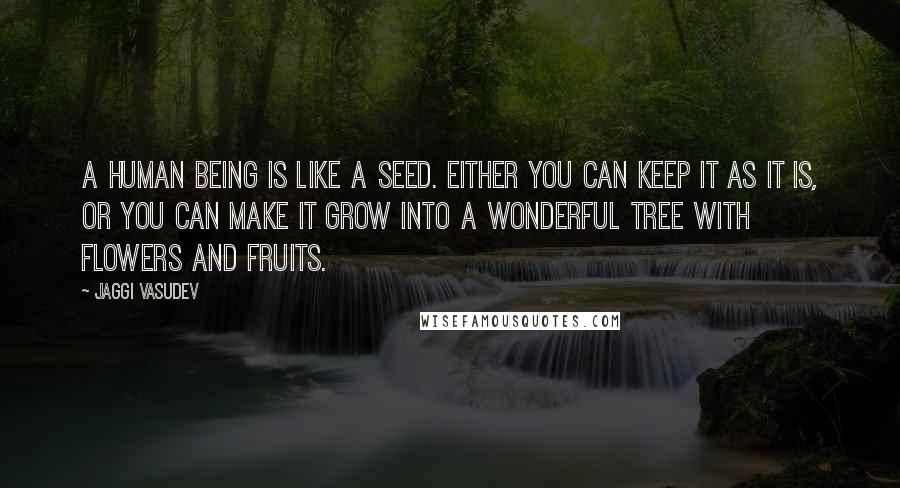 Jaggi Vasudev Quotes: A human being is like a seed. Either you can keep it as it is, or you can make it grow into a wonderful tree with flowers and fruits.