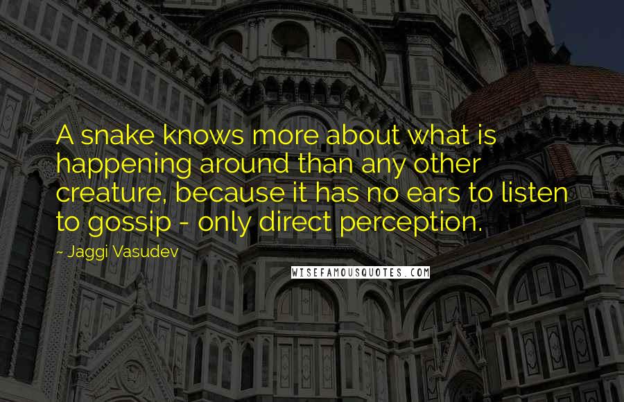 Jaggi Vasudev Quotes: A snake knows more about what is happening around than any other creature, because it has no ears to listen to gossip - only direct perception.