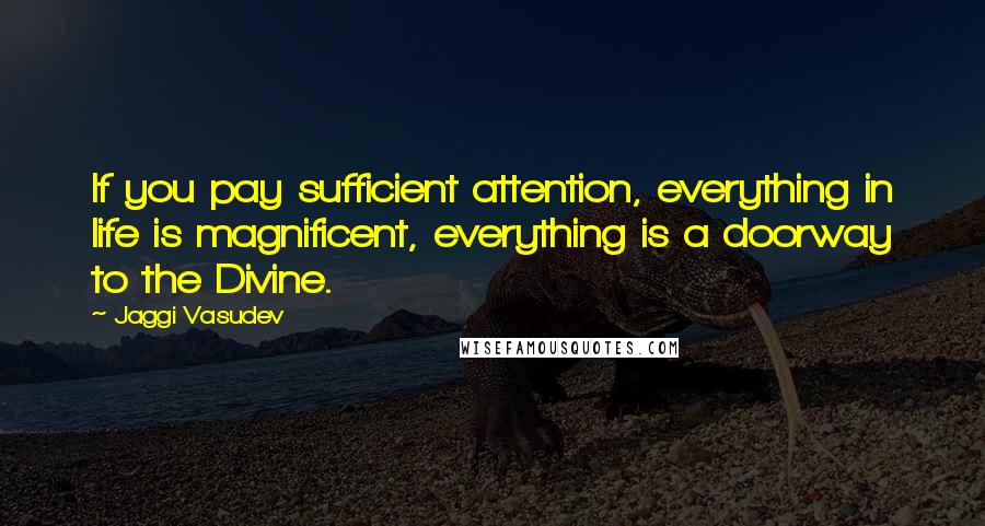 Jaggi Vasudev Quotes: If you pay sufficient attention, everything in life is magnificent, everything is a doorway to the Divine.