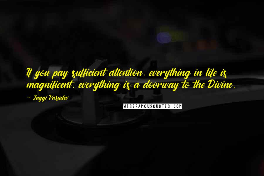 Jaggi Vasudev Quotes: If you pay sufficient attention, everything in life is magnificent, everything is a doorway to the Divine.