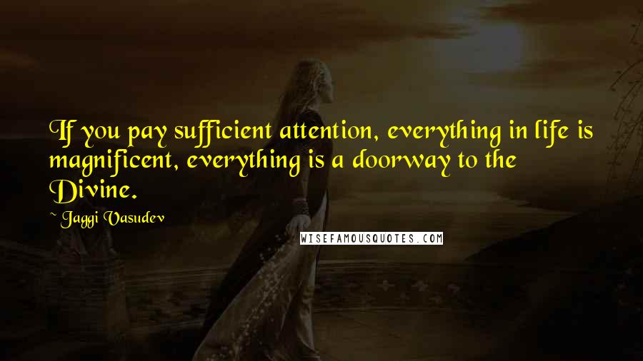 Jaggi Vasudev Quotes: If you pay sufficient attention, everything in life is magnificent, everything is a doorway to the Divine.