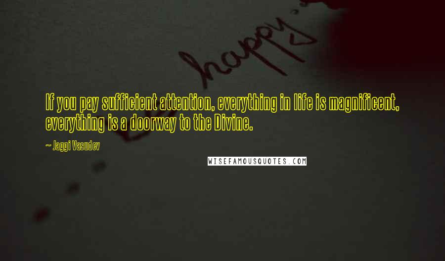 Jaggi Vasudev Quotes: If you pay sufficient attention, everything in life is magnificent, everything is a doorway to the Divine.