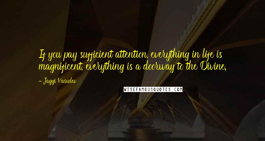 Jaggi Vasudev Quotes: If you pay sufficient attention, everything in life is magnificent, everything is a doorway to the Divine.