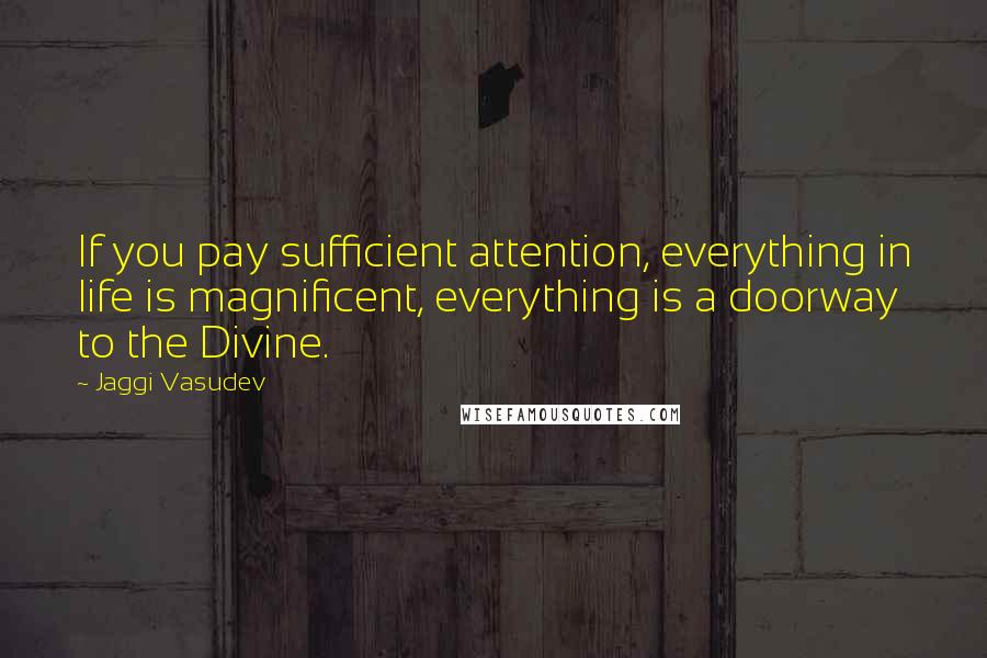 Jaggi Vasudev Quotes: If you pay sufficient attention, everything in life is magnificent, everything is a doorway to the Divine.