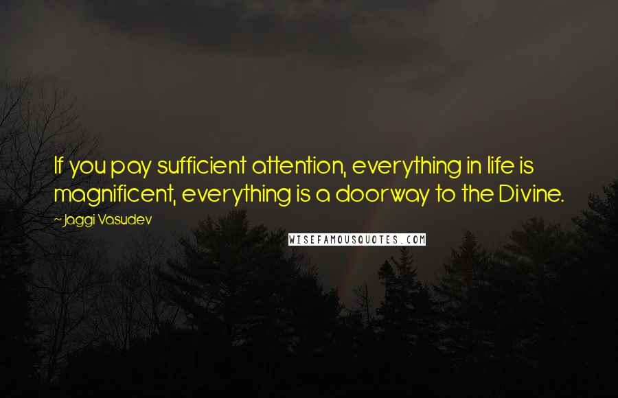 Jaggi Vasudev Quotes: If you pay sufficient attention, everything in life is magnificent, everything is a doorway to the Divine.