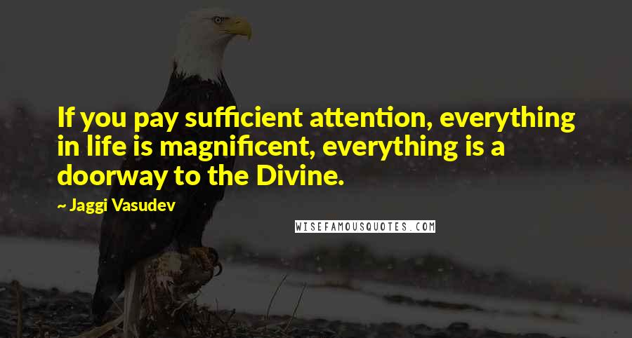 Jaggi Vasudev Quotes: If you pay sufficient attention, everything in life is magnificent, everything is a doorway to the Divine.