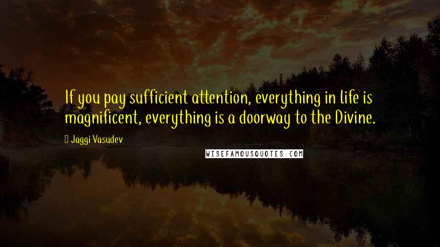 Jaggi Vasudev Quotes: If you pay sufficient attention, everything in life is magnificent, everything is a doorway to the Divine.