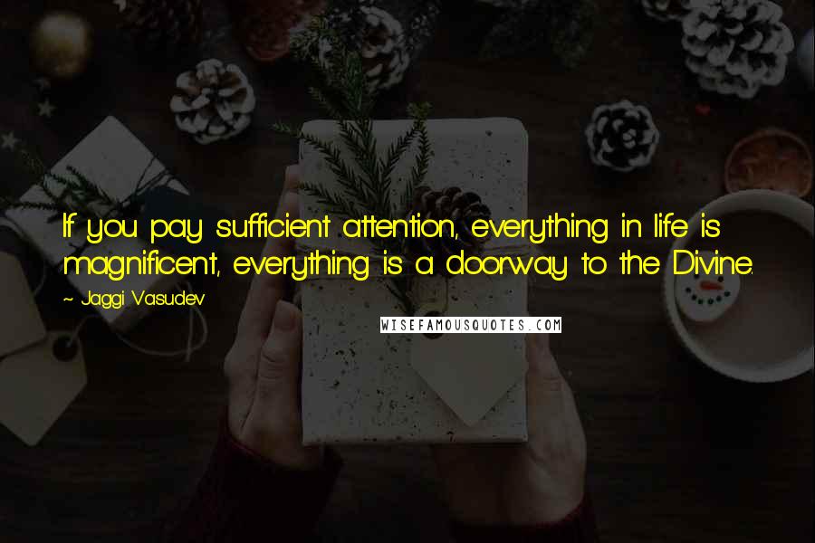 Jaggi Vasudev Quotes: If you pay sufficient attention, everything in life is magnificent, everything is a doorway to the Divine.