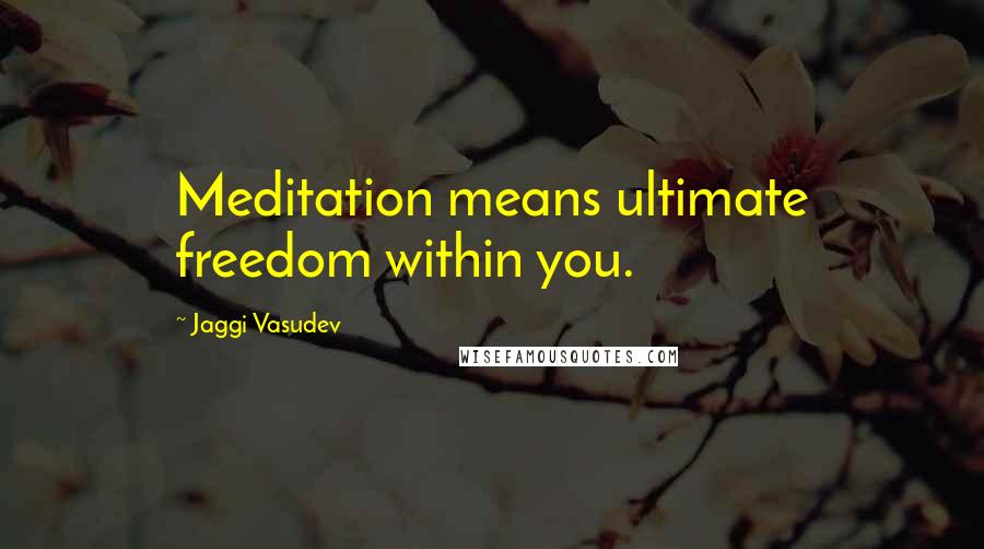 Jaggi Vasudev Quotes: Meditation means ultimate freedom within you.