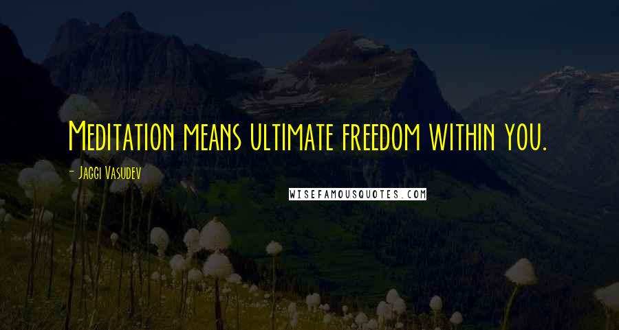 Jaggi Vasudev Quotes: Meditation means ultimate freedom within you.