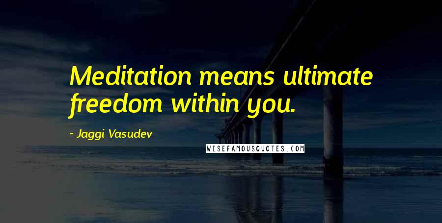 Jaggi Vasudev Quotes: Meditation means ultimate freedom within you.