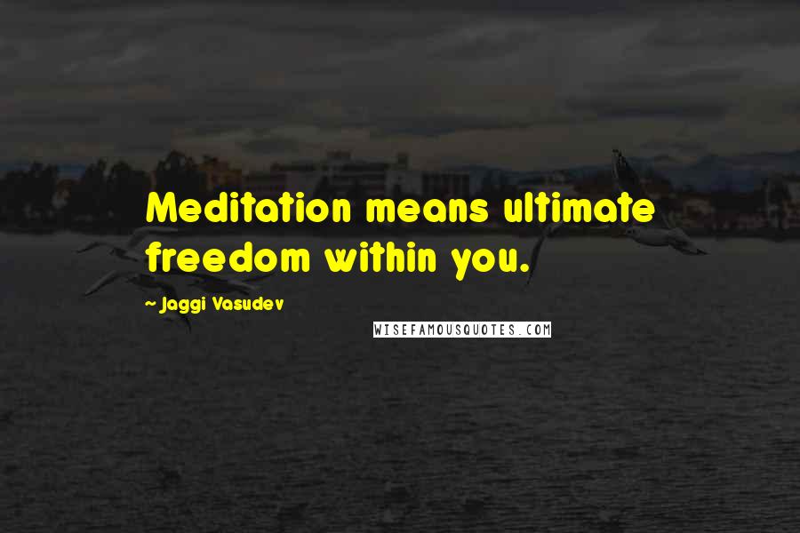 Jaggi Vasudev Quotes: Meditation means ultimate freedom within you.