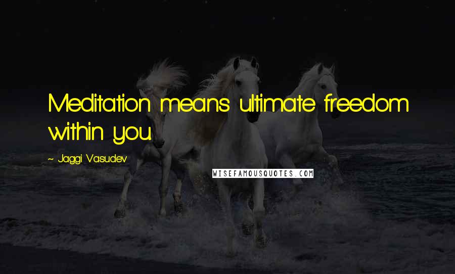 Jaggi Vasudev Quotes: Meditation means ultimate freedom within you.