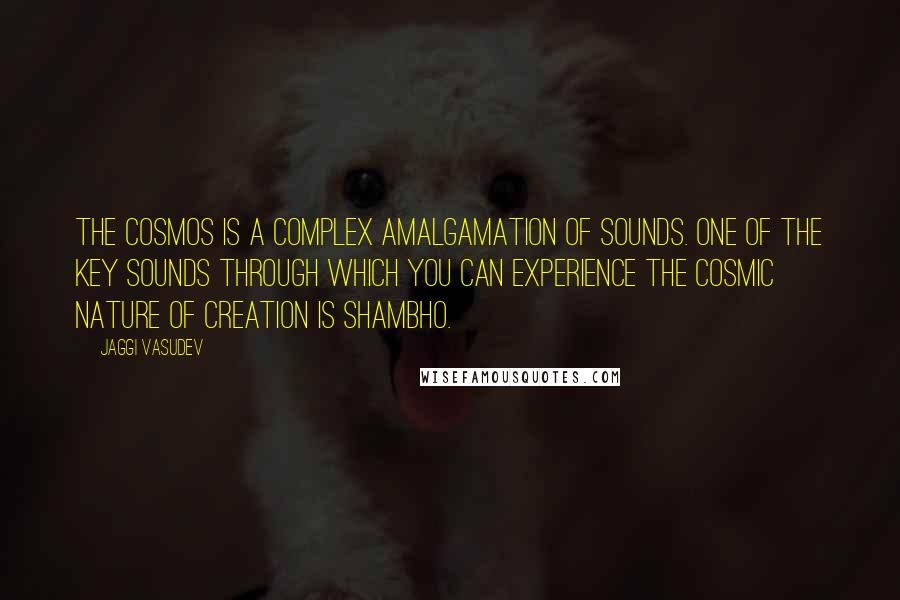 Jaggi Vasudev Quotes: The cosmos is a complex amalgamation of sounds. One of the key sounds through which you can experience the cosmic nature of creation is Shambho.