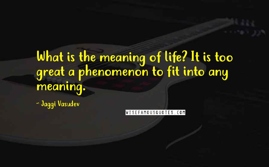 Jaggi Vasudev Quotes: What is the meaning of life? It is too great a phenomenon to fit into any meaning.