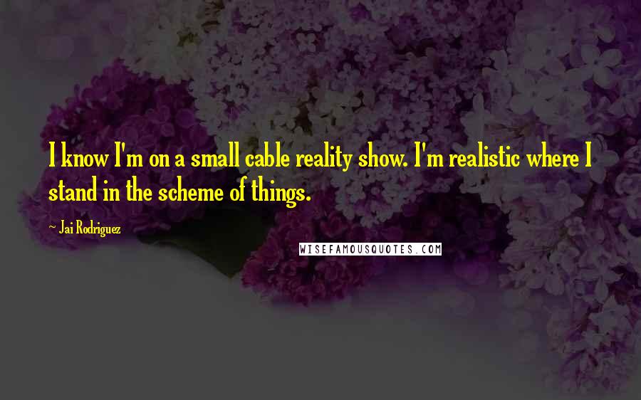 Jai Rodriguez Quotes: I know I'm on a small cable reality show. I'm realistic where I stand in the scheme of things.